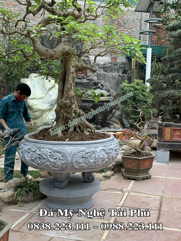 Mẫu chậu cảnh đá tròn đẹp, chậu đá trồng cây cảnh, chậu đá tròn, bể đá cảnh